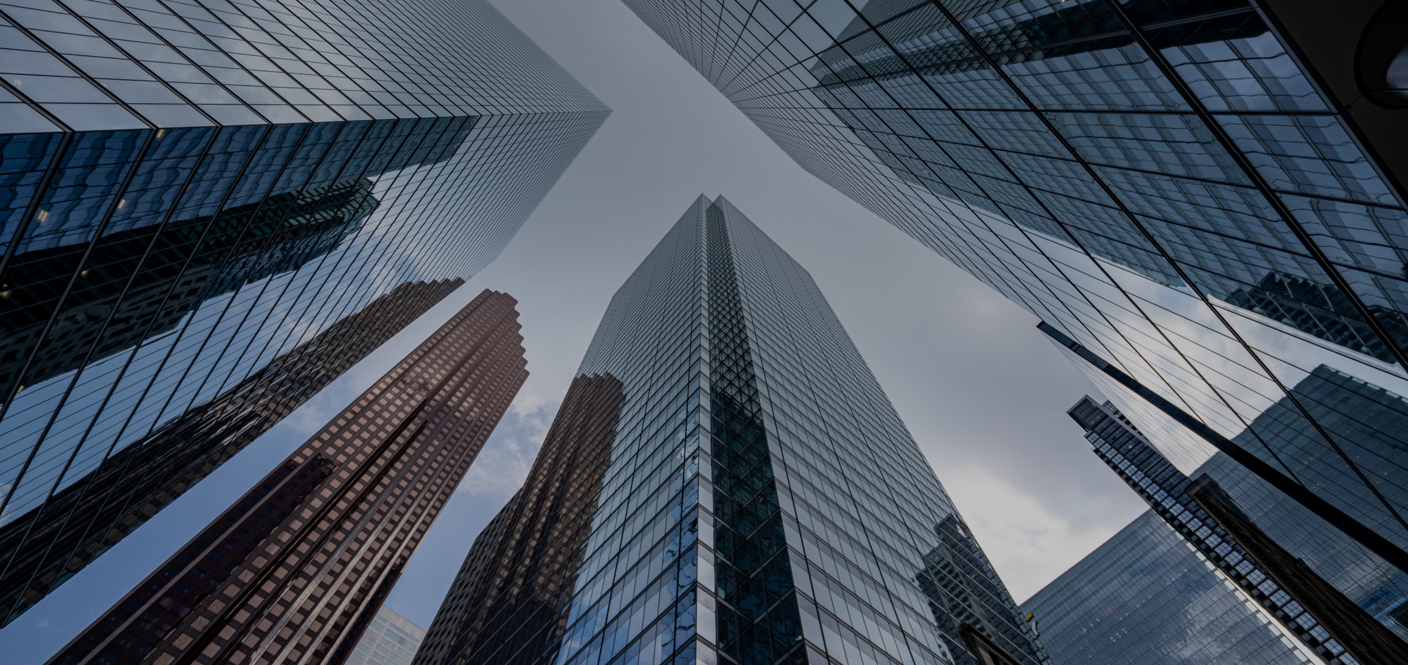 Plus Consultancy Banner